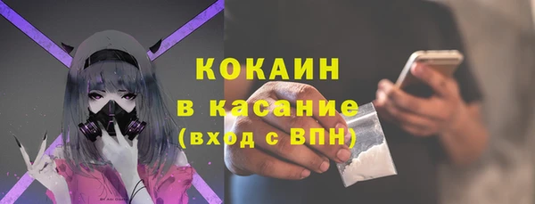 шишки Чекалин