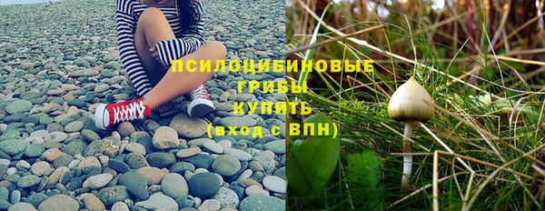 стафф Бугульма