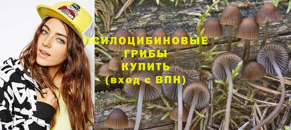 мдма Бородино
